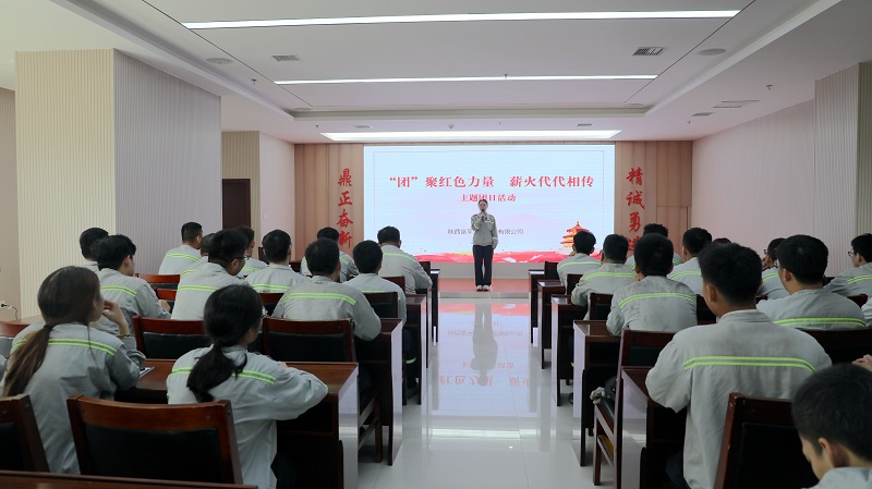 共話青春 寄語未來——富平公司開展“‘團(tuán)’聚紅色力量 薪火代代相傳”主題團(tuán)日活動