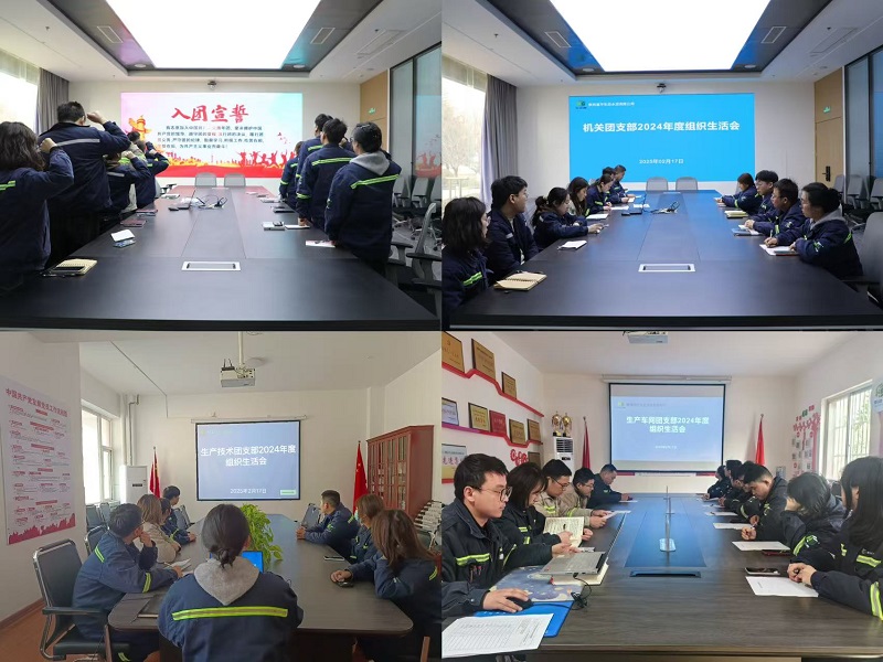 富平公司團(tuán)委開展2024年度組織生活會(huì)和團(tuán)員教育評議工作